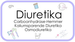 Diuretika  Pharmakologie Carboanhydrase Hemmer Kaliumsparende Diuretika Osmodiuretika [upl. by Nimsaj]