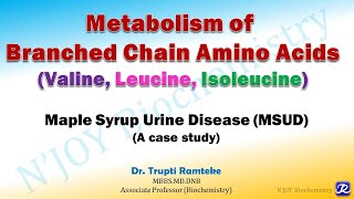 16 Branched chain amino acids MetabolismAmino Acids Metabolism  Biochemistry  NJOY Biochemistry [upl. by Oicirbaf]