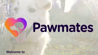 Pawmates The Dog Meetup App Introductory Video [upl. by Athalia]