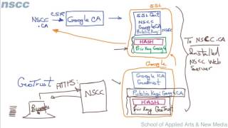 Digital Certificates Chain of Trust [upl. by Annanhoj]