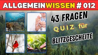 Allgemeinwissen Quiz Bist du universalgelehrt Teste dich Allgemeinbildung wissenstest [upl. by Swaine86]