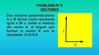 VECTORES Nº 8 [upl. by Constantia]