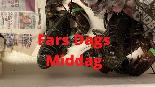 Fars Dags Middag [upl. by Paehpos]