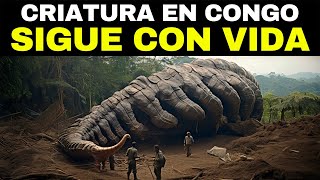 Lo Grabaron En La Selva Del Congo y Nadie Lo Puede Creer [upl. by Denten]