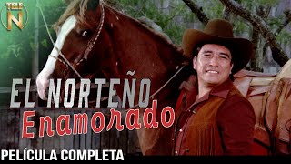 El Norteño Enamorado 1979  Tele N  Película Completa  Cornelio Reyna [upl. by Freudberg821]