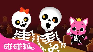 Chumbala Cachumbala之舞｜🎃 万圣节儿歌｜Chumbala Cachumbala Dance｜中文儿歌｜碰碰狐儿歌｜Nursery Rhymes｜碰碰狐Pinkfong [upl. by Stafford]