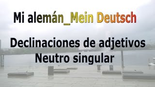 Mi alemán Mein Deutsch Declinaciones de adjetivos neutro singular [upl. by Niwrud]