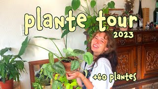 plante tour 60 plantes 🌱 2023 [upl. by Chap427]