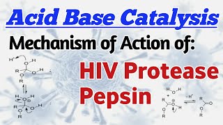 Acid Base Catalysis Mechanism of Action of HIV Protease Action of Aspartic protease family enzymes [upl. by Enitsed574]