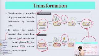 Microbial Genetics Transformation Transduction Conjugation Plasmids and Transposons [upl. by Hazeghi916]