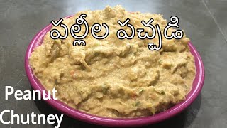 Palli Chutney in Telugu  Peanut chutney for rice  Raayalaseema style palli chutney recipe [upl. by Cran]