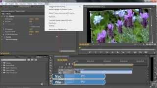 Adobe Premiere Pro CS6 Tutorial  Using Keyframes  Infiniteskills [upl. by Eihtak]