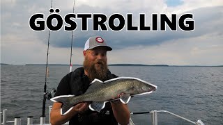 Trollingfiske  Göstrolling på mälaren i en MCLAY CABIN CRUISER 701 Gösfiske [upl. by Klimesh]