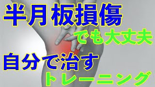 【半月板損傷の膝の痛み】を治すトレーニング [upl. by Yaeger463]