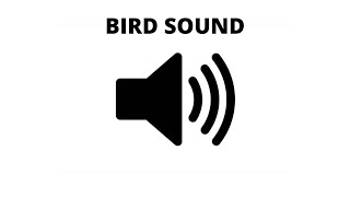 Sweet Bird Sound  Morning Sound Effect Garden Bird [upl. by Ordnasil]