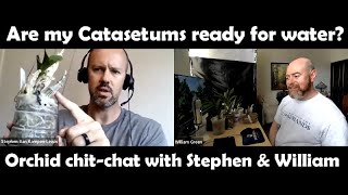 When to Water Catasetums  Orchid Chit Chat with William Green [upl. by Acir]