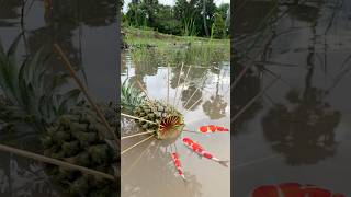 Survival Skills SIMPLE and USEFUL with Pineapple fish trap camping bushcraft outdoors [upl. by Aihsital]