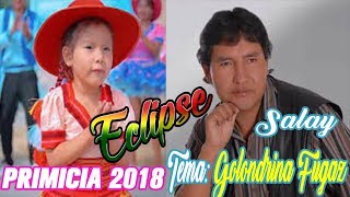 Grupo Eclipse 2018 ▷ Golondrina Fugaz ● Salay Bolivia  Video Oficial [upl. by Elletsyrk343]