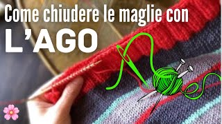 Come chiudere un lavoro ai ferri con lago 🌸🧶🥢 tecnica semplice originale e collaudata Sofia [upl. by Eizus]