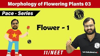 Morphology of flowering plants 03  Flower  1  Class 11  NEET  Pace Series [upl. by Gavrielle]