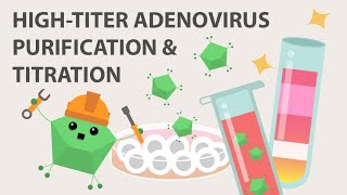 Hightiter Adenovirus and Titration [upl. by Ytsur]