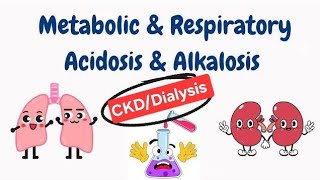 What is Acidosis Alkalosis Acid base balance in DialysisCkd patients metabolic acidosis [upl. by Amehsat477]