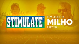 Descubra porque STIMULATE tem o que sua lavoura de MILHO precisa [upl. by Panthia]