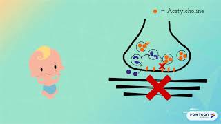 Infant Botulism and Botulinum Toxin MOA [upl. by Zawde747]