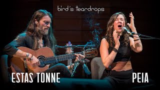 Birds Teardrops  Estas Tonne feat Peia  Ashland Oregon 2018 [upl. by Ayar906]