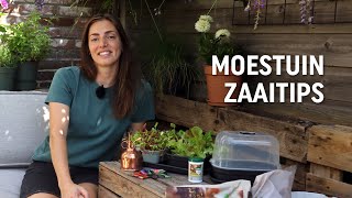 Moestuin zaaitips  Floor Korte [upl. by Asir]