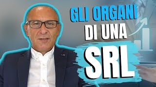 Quali sono gli ORGANI di una SRL [upl. by Accem175]