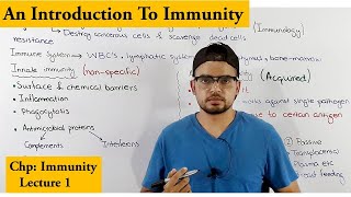 Innate vs adaptive immunity overview [upl. by Sedgewinn]