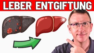 TOP 10 EntgiftungsTipps für Deine LEBER  Arzt erklärt [upl. by Aineles]