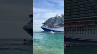 Cruise ship l sealife cruiseship shortfeed youtubeshorts [upl. by Zrike]