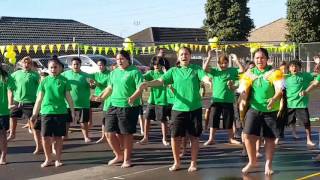 Takanini School Powhiri June 2017 [upl. by Hardwick]