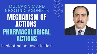 Parasympathomimetics Mechanisms amp pharmacological actions of muscarinic amp nicotinic agonists Edited [upl. by Ecnatsnoc]