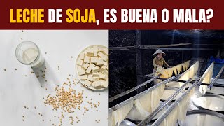 LECHE DE SOJA por qué es nutritiva [upl. by Assilav]