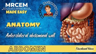 MRCEM Primary  Anatomy  Abdomen  Anterolateral abdominal wall [upl. by Cramer]