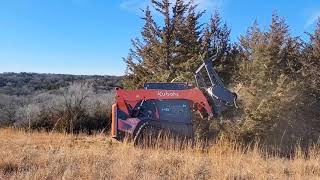 Kubota SVL753 with Loftness Battle Ax L series mulcher [upl. by Benedix]