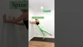 Wall Pilates Workout  for beginners 💥 pilates pilatesworkout beginnerpilates pilateshome [upl. by Nelly]