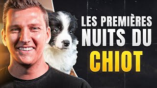 4 Conseils Pour Les Premières Nuits Avec Un Chiot [upl. by Elleuqar675]