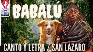 SAN LAZARO CANTO Y LETRA BABALÚ AYÉ 🙏🏽 [upl. by Ahsenac]