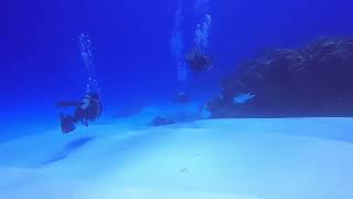 Buceo en Tormentos Cozumel Q Roo [upl. by Loma]