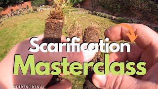 Scarification BASICS  Learn Why And How To Scarify Your Lawn [upl. by Nohsal]