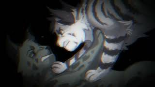 Rootspring Realizes Bristlefrost Is Dead Because Of Ashfur SPIOLERS FOR ALITM Warrior Cats Edit [upl. by Kellie]