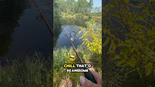 🐊ALLIGATOR EATS MY LURE bassfishing fishing fishingvideo fishtok fyp comedy [upl. by Paulo]