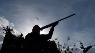 The Shooting Show  oilseed pigeon decoying and the Zoli Taiga [upl. by Elades399]