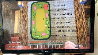 ASMR Minecraft Plant Garden amp Biology [upl. by Amandie132]