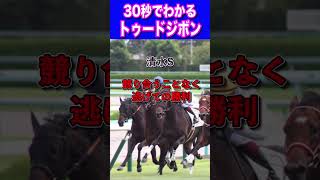 【京都金杯2024】30秒でわかるトゥードジボン [upl. by Keil3]