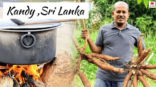 Traditional Boiled Manioc Recipe in Simple Wayඋඩරට මහවැලි ගග මැද තැම්බු රසම රස මඤ්ඤොක්කා [upl. by Elatsyrk]